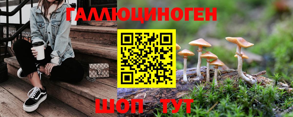 Ивантеевка  Псилоцибиновые грибы MAGIC MUSHROOMS  Вход с VPN 